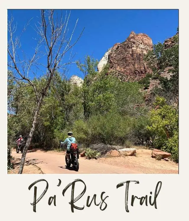 12 Best Things to Do in Zion National Park for Non Hikers (That Will Blow Your Mind) bicycle on pave PaRus Trail with trees and rocky outcrop behind in Zion National Park