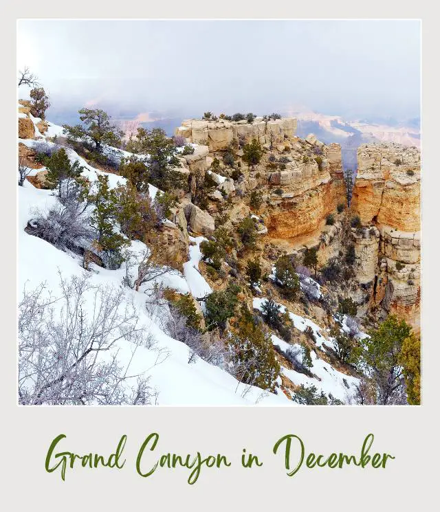 Red rock mountains covered with snow surrounded by trees in Grand Canyon National Park.