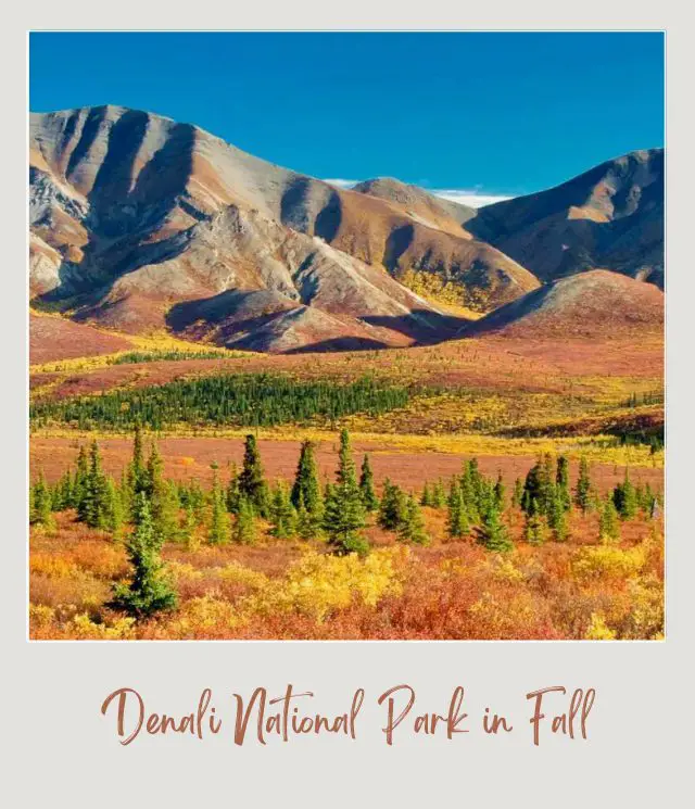 The 10 Best National Parks to Visit in the Fall Denali National Park Fall Color 1