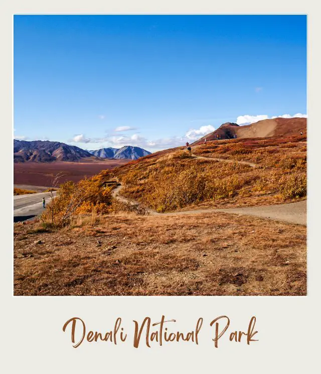 Denali National Park in Autumn