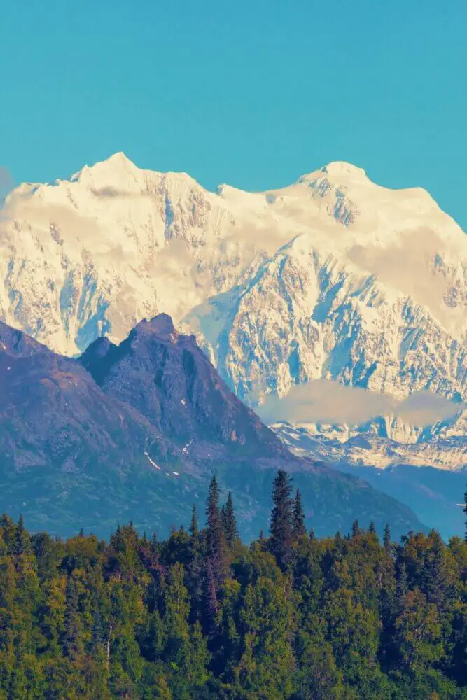 Denali National Park in the summer