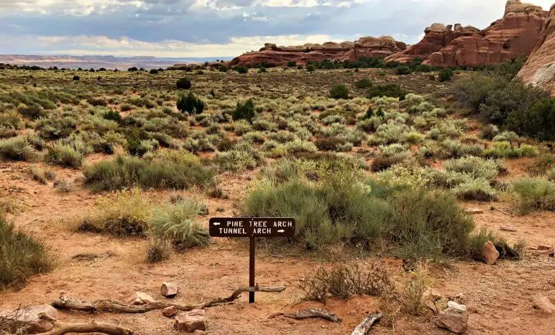 Devils-Garden-TRail-Arches-National-Park-trail-split-between-pine-tree-arch-and-tunnel-arch