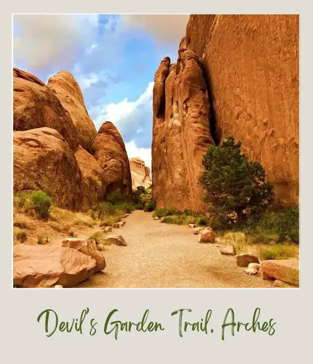 Huge rock formations and some bushes along the Devils Garden trail in Arches National Park.