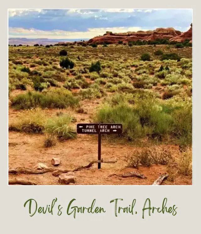 Small wooden signage surrounded by bushes and behind are huge rock formations in Arches National Park.