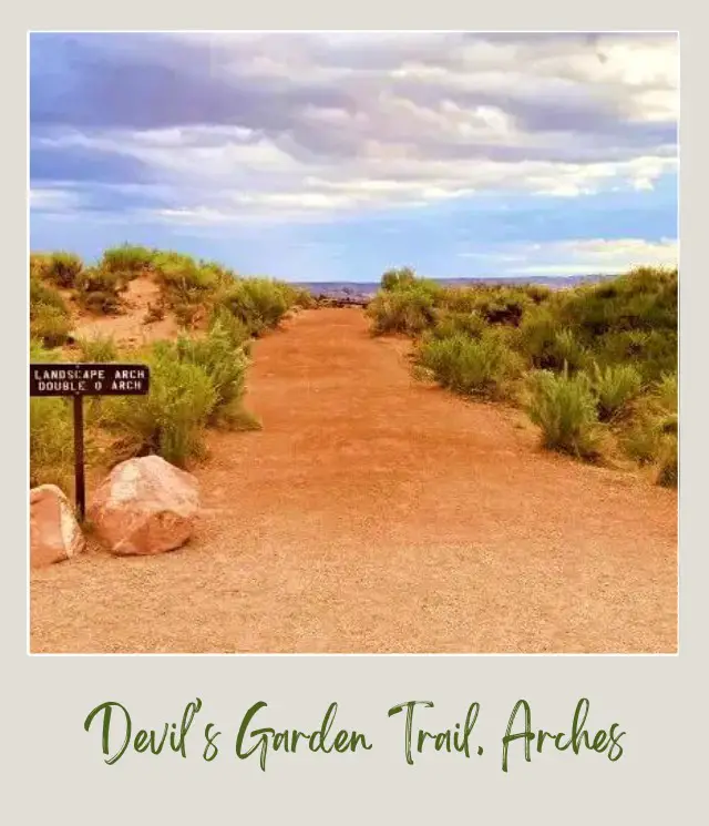 Split trail surrounded by bushes and two small wooded signage in Arches National Park.