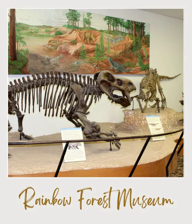 Dinosaur skeletons displayed in a museum exhibit, with detailed information plaques in front and a mural of a prehistoric landscape in the background in ainbow Forest Museum-Visitor Center in Petrified National Park