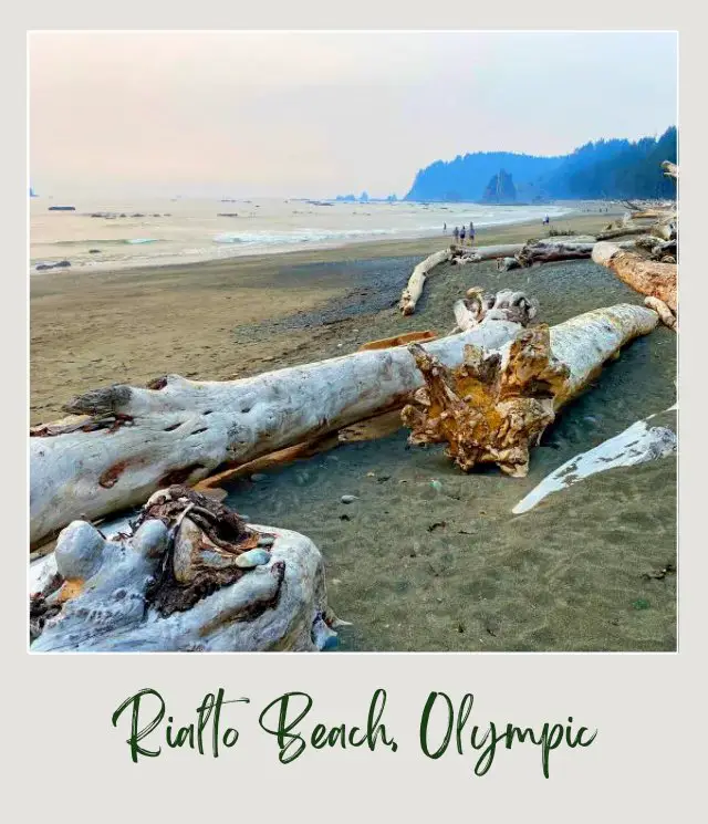 Rialto Beach - Hole in the Wall, Olympic National Park: Complete Guide Driftwood on the beach and beside is the ocean with people, and on the other side is a small island in Rialto Beach, Olympic National Park.