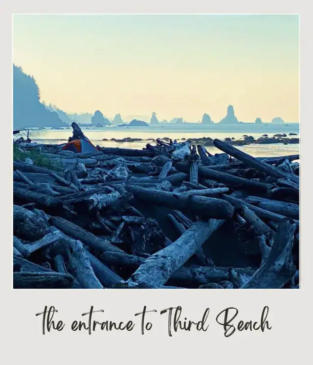 Third Beach, La Push: Complete Guide A camping tent surrounded by driftwoods in Third Beach Olympic National Park.