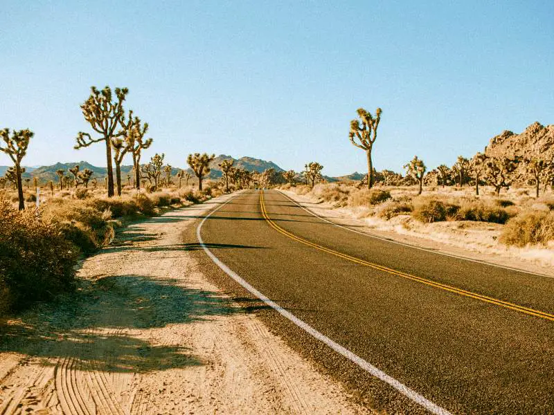 How To Get To Joshua Tree National Park, CA