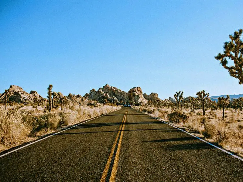 How To Get To Joshua Tree National Park, CA