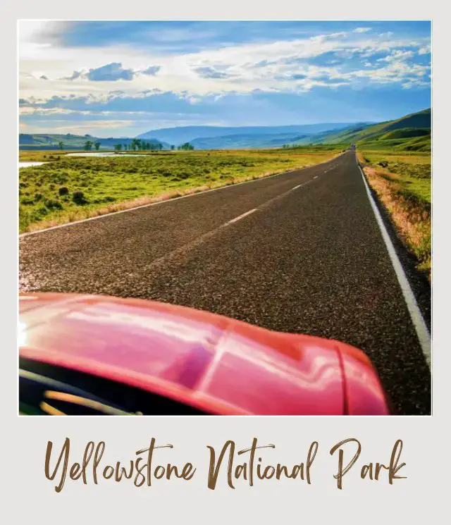 How To Get To Yellowstone National Park: Complete Guide A photo of a red car hood in the middle of the straight road surrounded by green grasses and behind are mountains near Yellowstone National Park