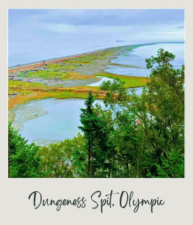 The 10 Best Olympic National Park Beaches Aerial view of beach and sea in Dungeness Spit Olympic