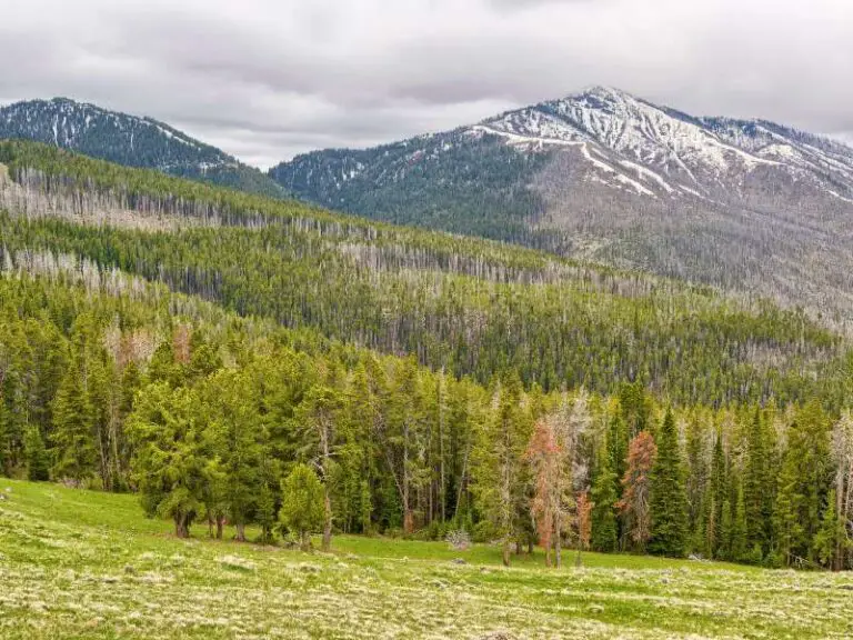 10 Fun Facts About Yellowstone National Park, Wyoming