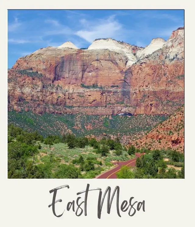 12 Best Things to Do in Zion National Park for Non Hikers (That Will Blow Your Mind) road in foreground with some trees and enormous red cliffs with white tops on east mesa of Zion National Park