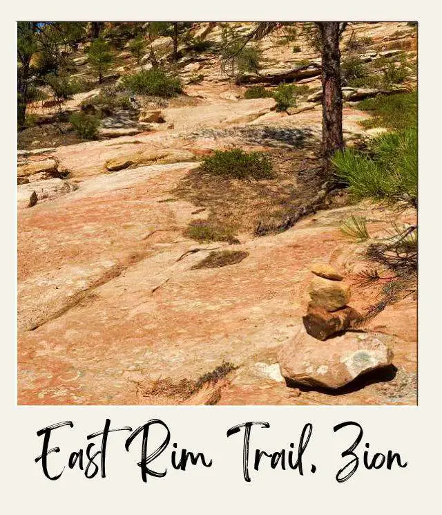 small pile of roacks markign east rim trail in Zion National Park with rocky surface