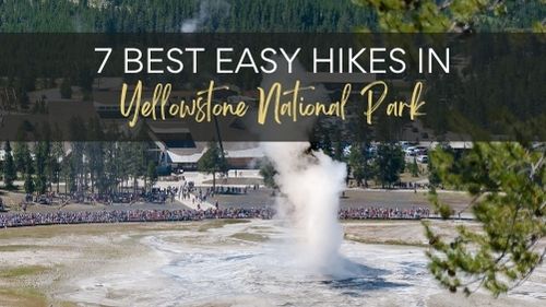 Yellowstone National Park Guide geyserseen form above wuth people sitting around it and buildings in background with text Best Easy hikes in yellowstone National park