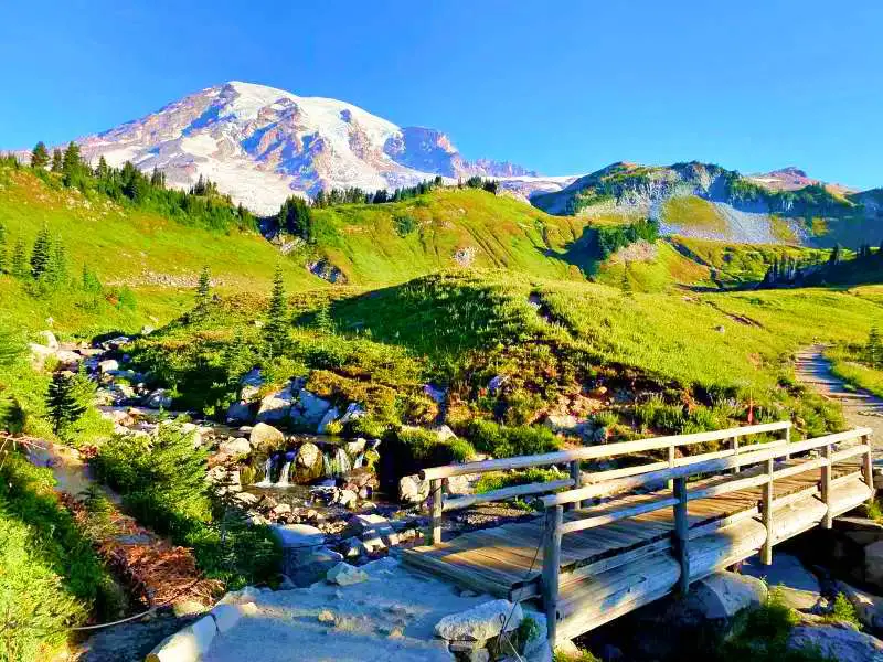 A wooden bridge above the creek is surrounded by trees and other green plants and behind are mountains filled with snow in Skyline Trail Mt Rainier National.