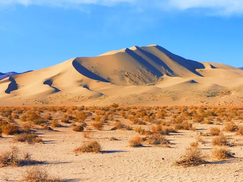 Sand forming mountain and below are small brown bushes in Death Valley National Park.