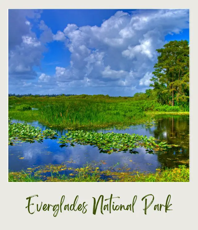 The 12 Best National Parks to Visit in Winter in the USA Everglades National Park Lake scenery