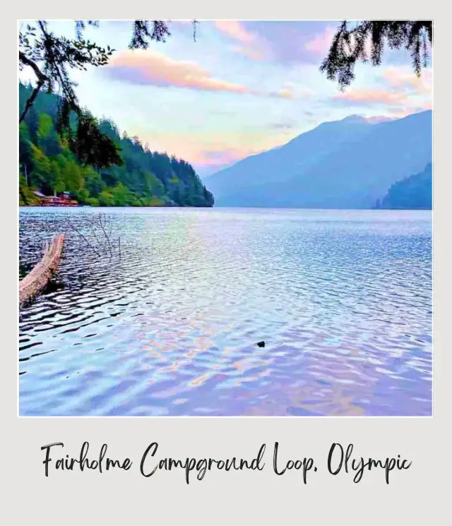 Log on the lake and behind are trees and mountain in Crescent Lake Olympic National Park