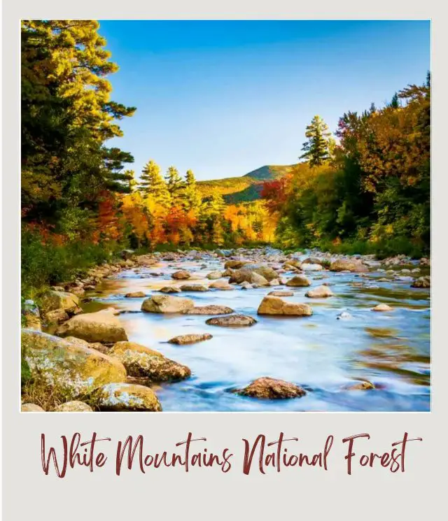 The Best Places to See Fall Colors in USA National and State Parks Fall Colors at White Mountain National Forest in New Hampshire