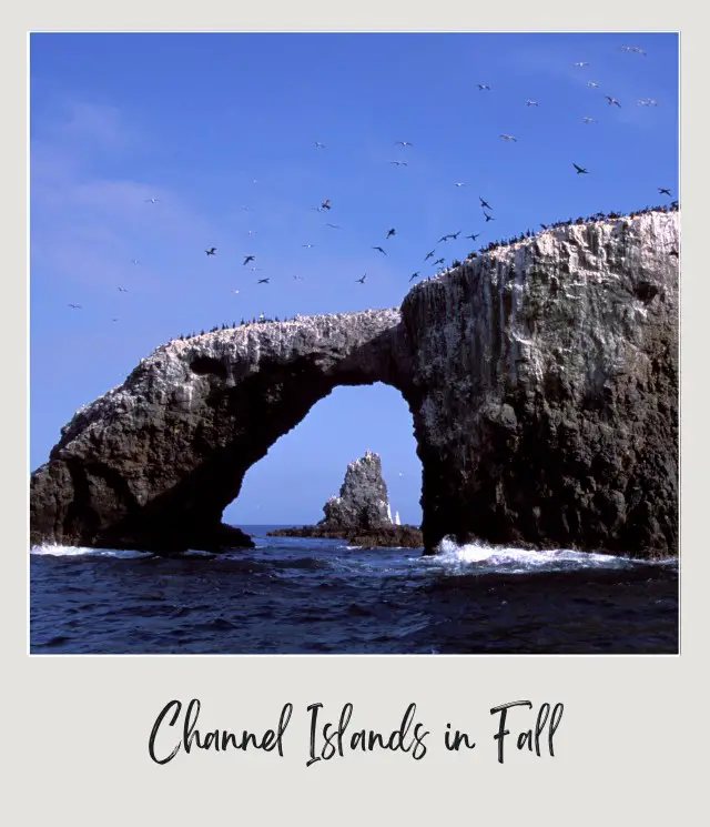 Huge rock formation on the ocean in Channel Islands National Park.