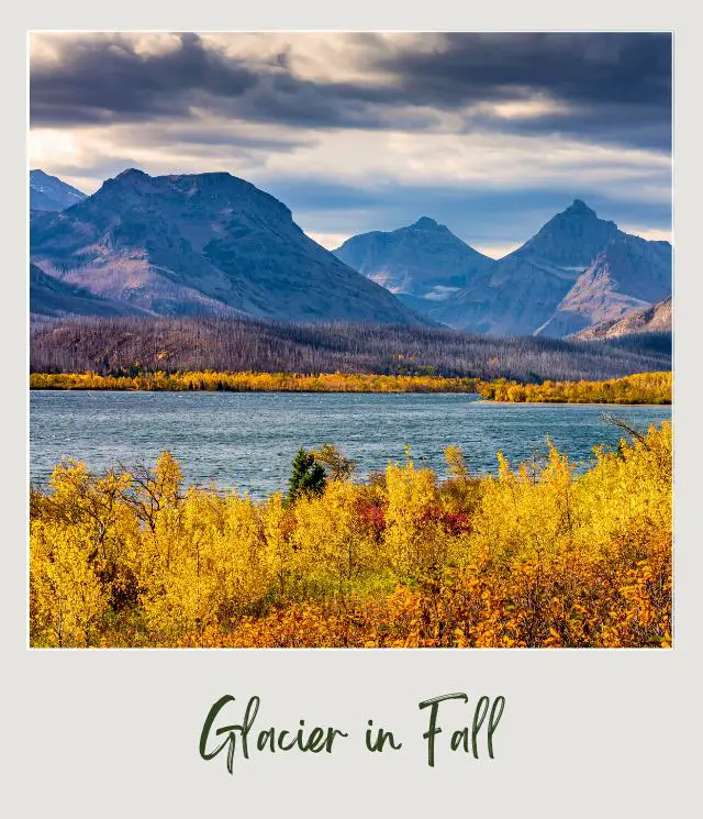 View of a lake surrounded by yellow-leaf trees and huge mountains in Glacier National Park.