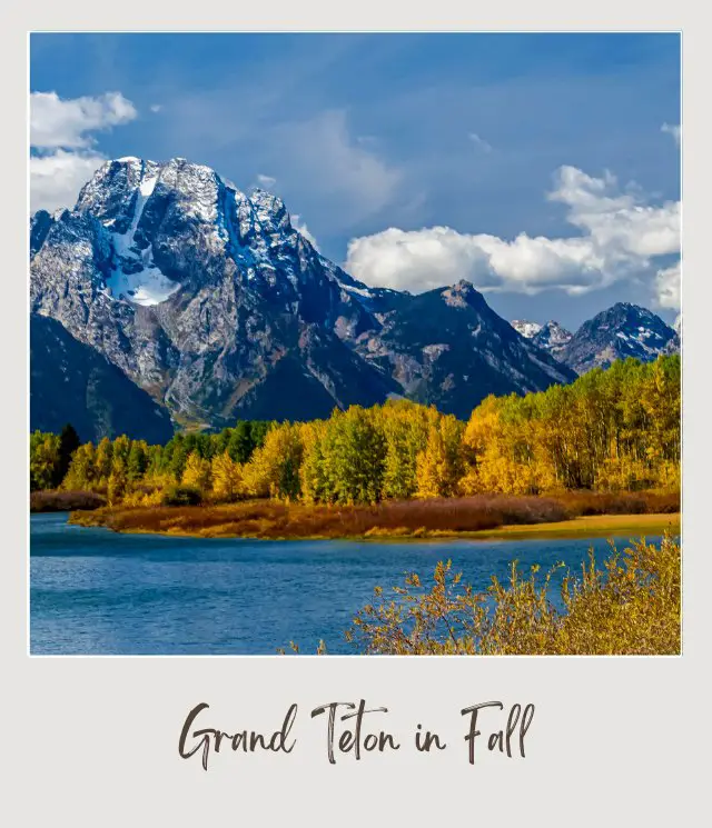 View of snow-capped mountains, and below are colorful trees and a lake in Grand Teton National Park.