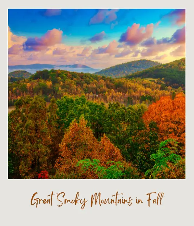 Mountain of colorful trees under a cloudy day in Great Smoky Mountains National Park.