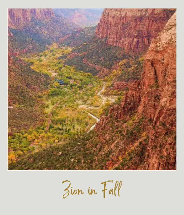 Visiting Zion National Park: What To Expect Throughout the Year Fall in Zion National Park September – November