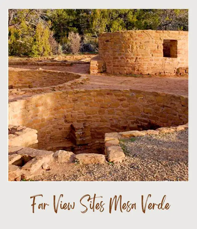 Old pit houses surrounded by trees in Mesa Verde National Park.