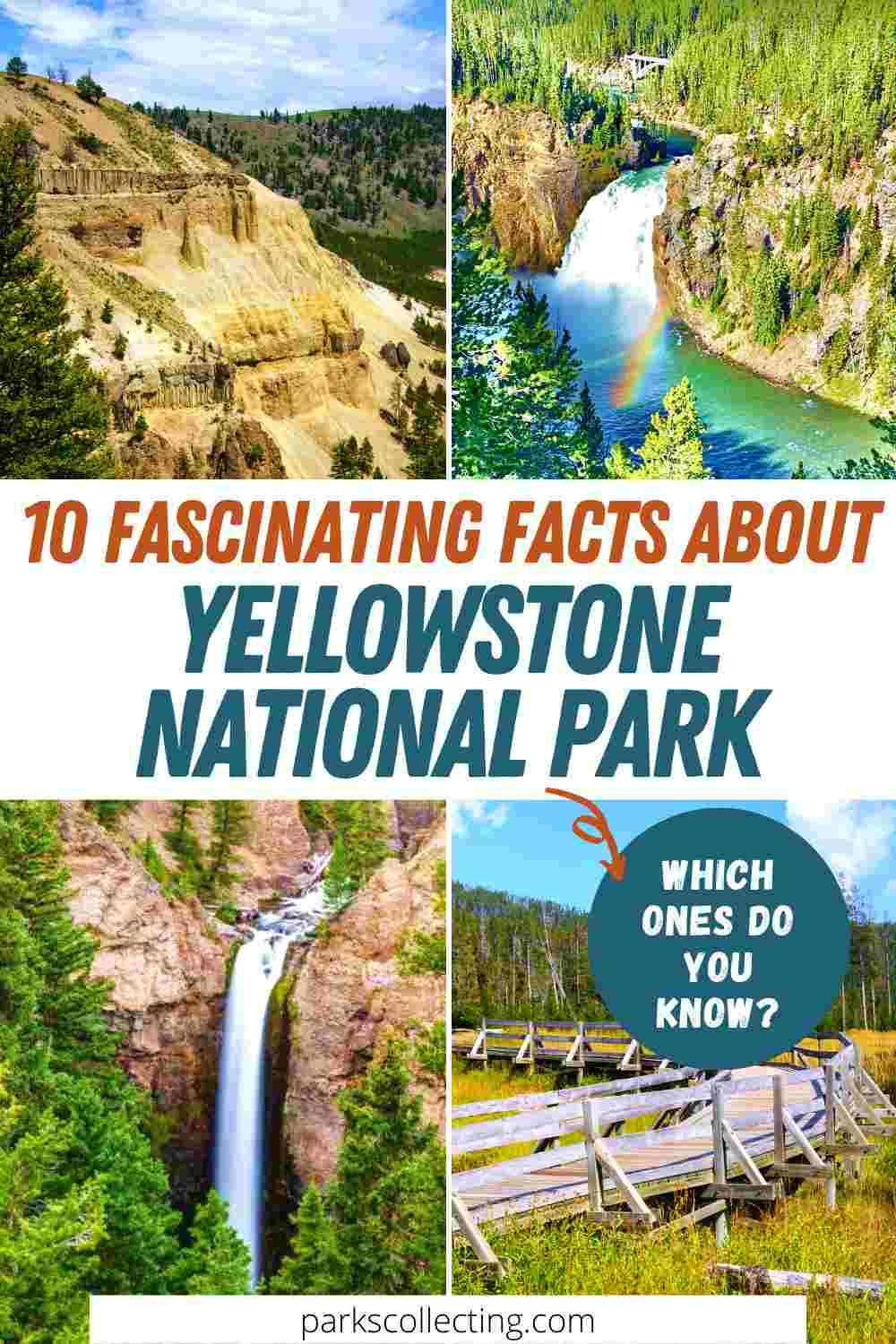 10 Fun Facts About Yellowstone National Park, Wyoming