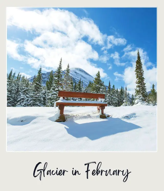 A bench covered with snow surrounded by trees, and behind is a snow-capped mountain in Glacier National Park.