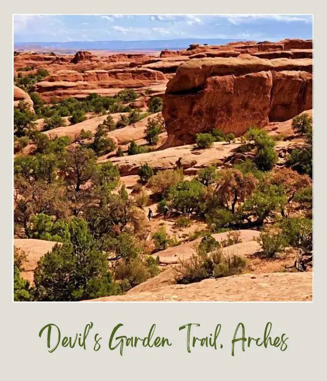 View of huge rock formations and bushes in Devils Garden Trail in Arches National Park.