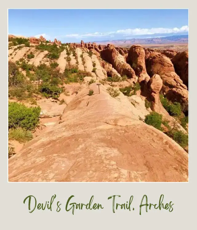 View of a huge rock formations and bushes in Devils Garden Trail in Arches National Park.