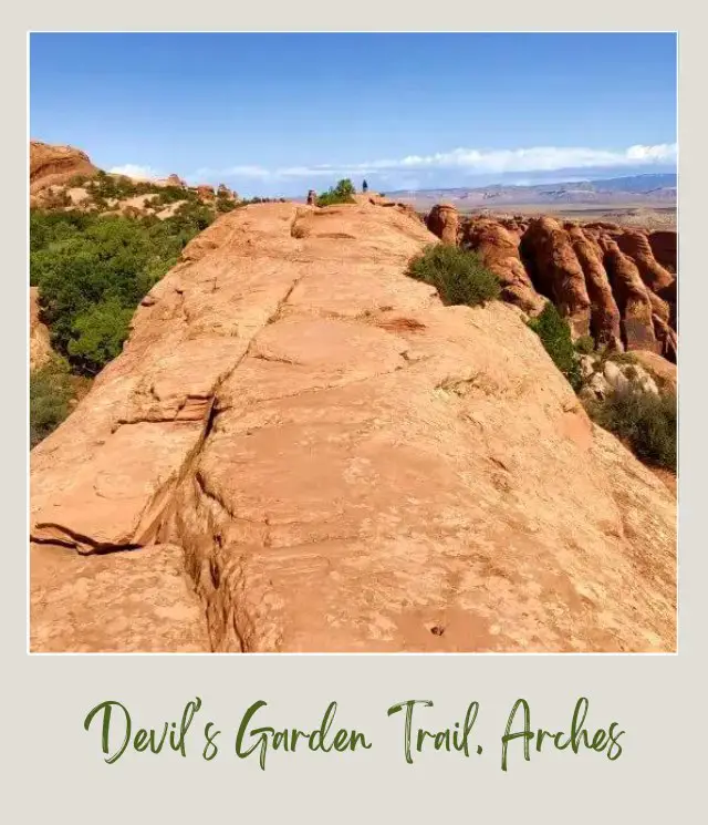 View of a huge rock formations and bushes in Devils Garden in Arches National Park.