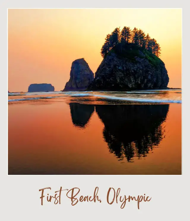 The 10 Best Olympic National Park Beaches La Push Beach Olympic National Park