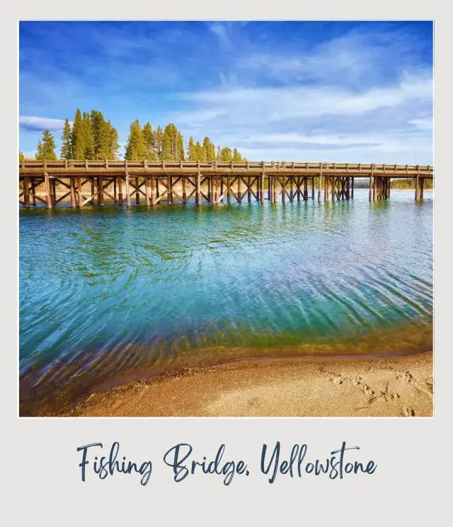 The Best Camping in Yellowstone National Park: Complete Guide Fishing Bridge Park in Yellowstone National Park