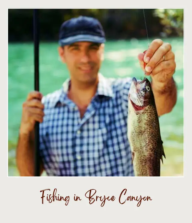 man wearing a cap and holding trout on fishing line with river in background