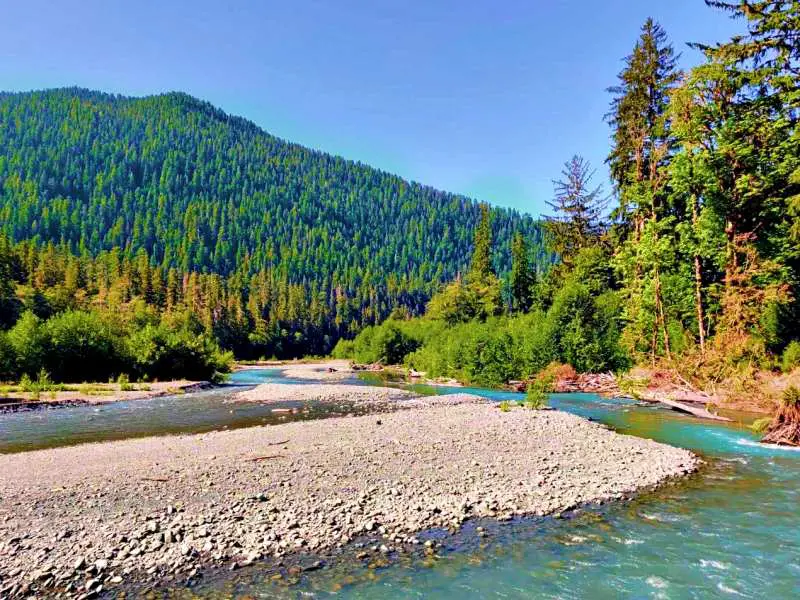 Five mile island hoh river