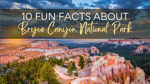 View of rock mountains and trees, with the text, 10 Fun Facts About Bryce Canyon National Park?