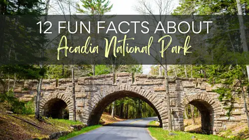 View of rock bridge surrounded by trees, with the text, 12 Fun Facts About Acadia National Park.