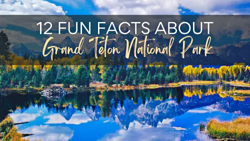 A view of a clear river that reflects the blue sky, as well as the yellow and green trees. There are also some yellow grasses growing and mountain ranges. With the text, 12 Fun Facts About Grand Teton National Park.