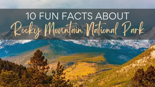 Trees below the snow-capped mountain in Rocky Mountain National Park with the text that says 10 Fun Facts About Rocky Mountain National Park