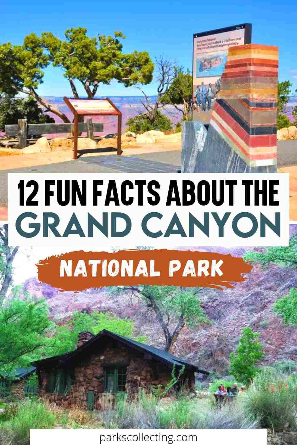 12 Fun Facts About The Grand Canyon In Arizona