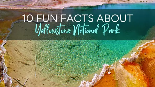 Aerial view of the spring surrounded by colorful bands, with the text, 10 Fun Facts About Yellowstone National Park.
