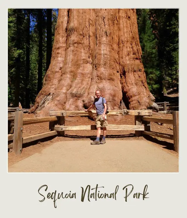 General Sherman in Sequoia National Park