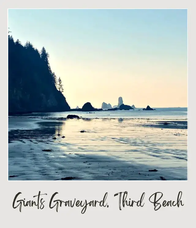 Third Beach, La Push: Complete Guide Headland surrounded by trees in Third Beach Olympic National Park