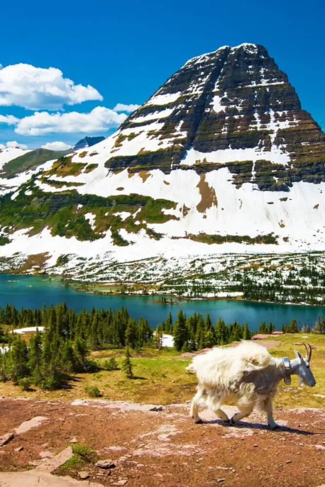 Glacier National Park USA