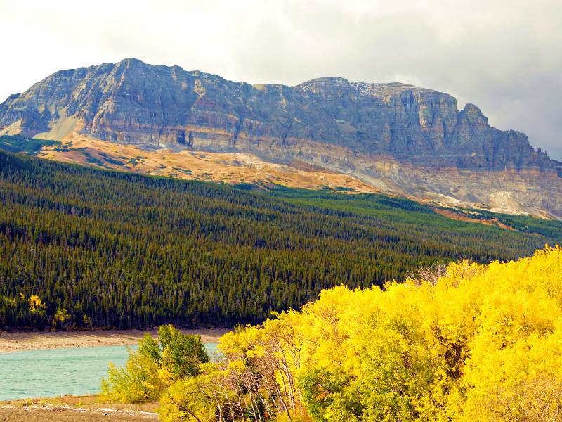 View of huge stone mountains and below are trees and a river in Glacier National Park.